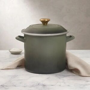 RARE and BRAND NEW: Le Creuset 8 Qt Stock Pot in Thyme